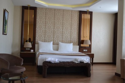 Junior Suite Room